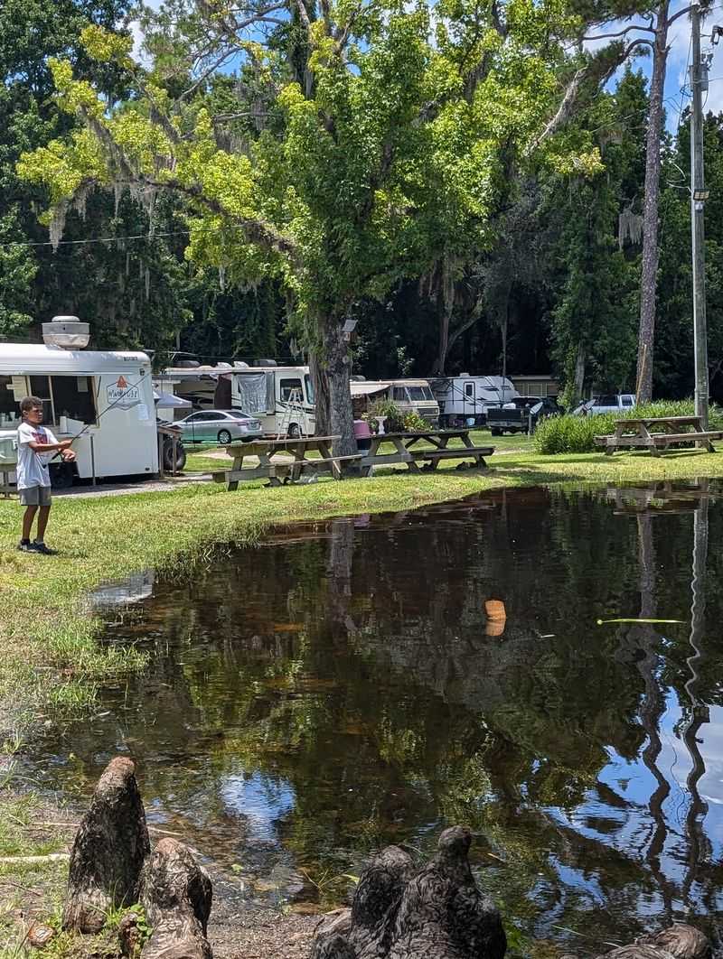 RVs, Tents, And Furry Friends All Have A Place