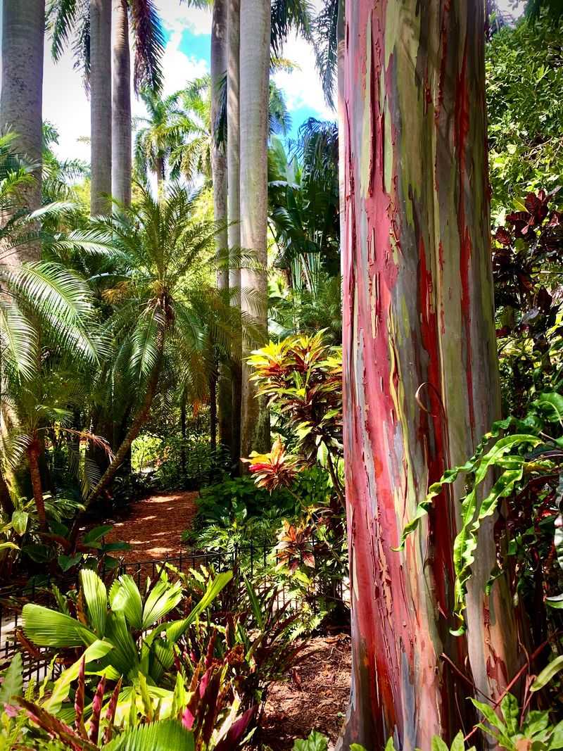 Bring Your Neck Muscles For This Candy-Striped Giant