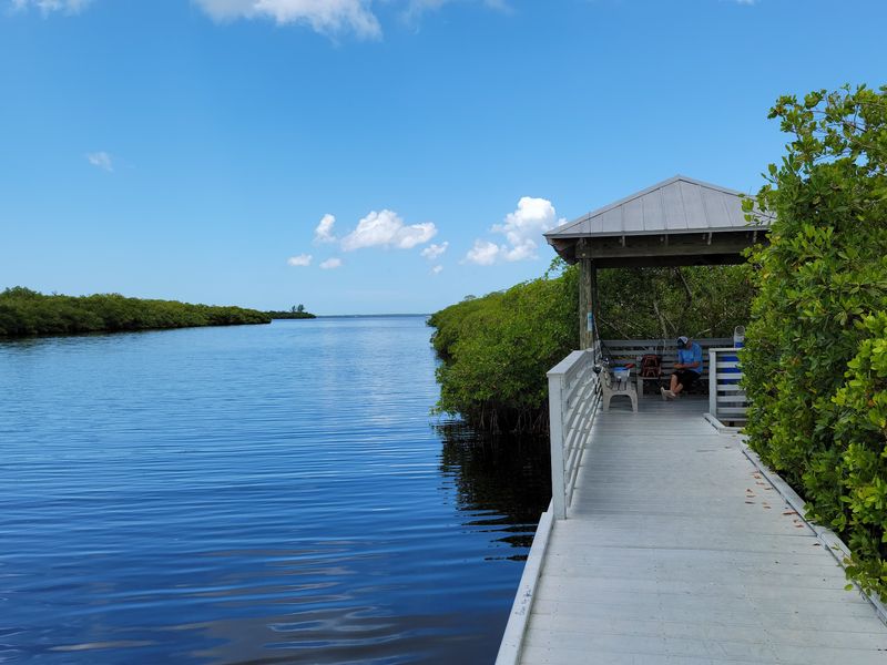 Mangroves, Boardwalks, And Birds That Pose Nicely