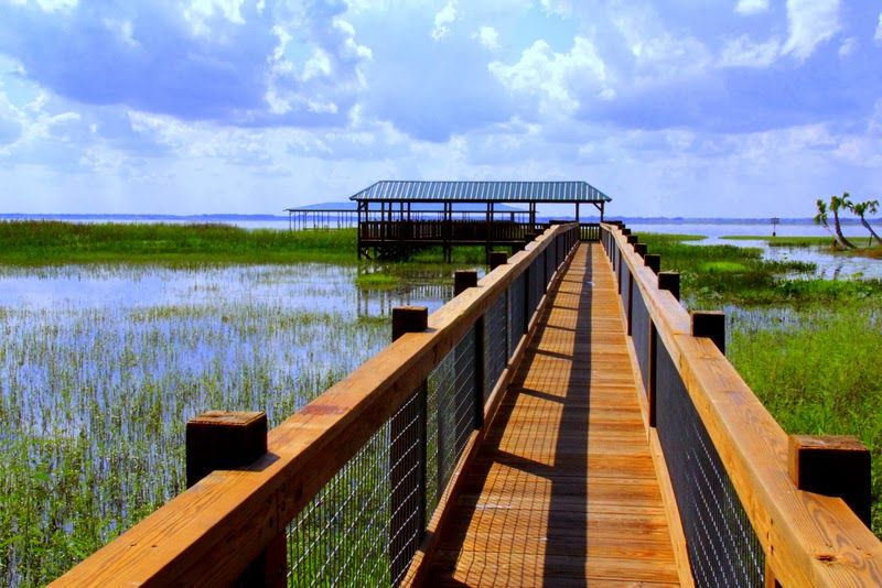 Boardwalks Carry Hikers Across Wetlands and Wild Terrain