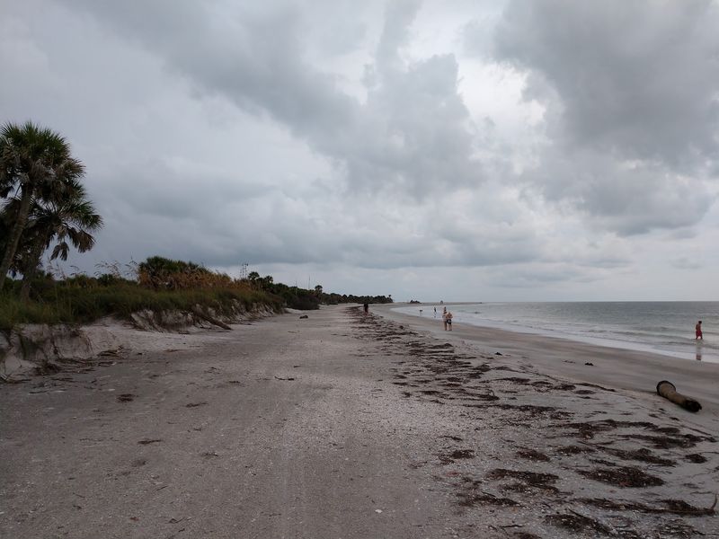 Shells Wash Up, But The Rules Matter