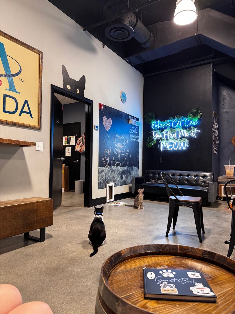 Some Visitors Come For Coffee And Leave Thinking About Adoption
