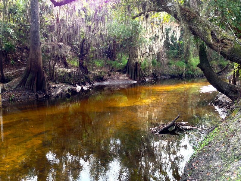 A Florida State Park Where History Goes Back Millions of Years