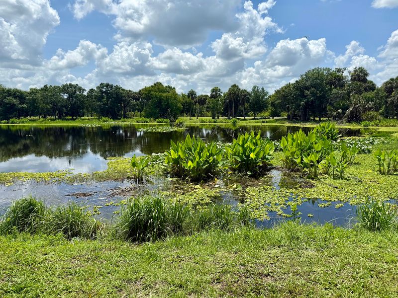Billy Creek Preserve and Filter Marsh, Fort Myers, FL