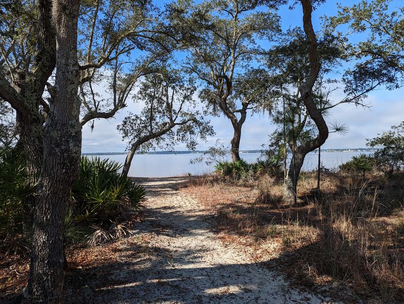 Spring Blooms Can Turn the Preserve Into a Surprisingly Colorful Scene