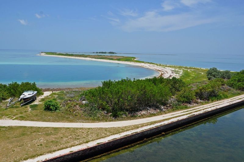 Seabirds And Sea Turtles Run This Neighborhood