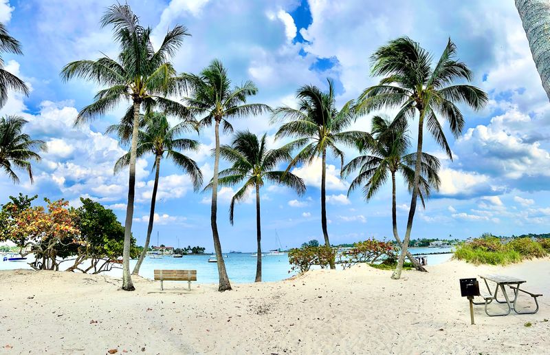 Palm Trees, Sandy Shorelines, and Lagoon Views Create the Island Escape