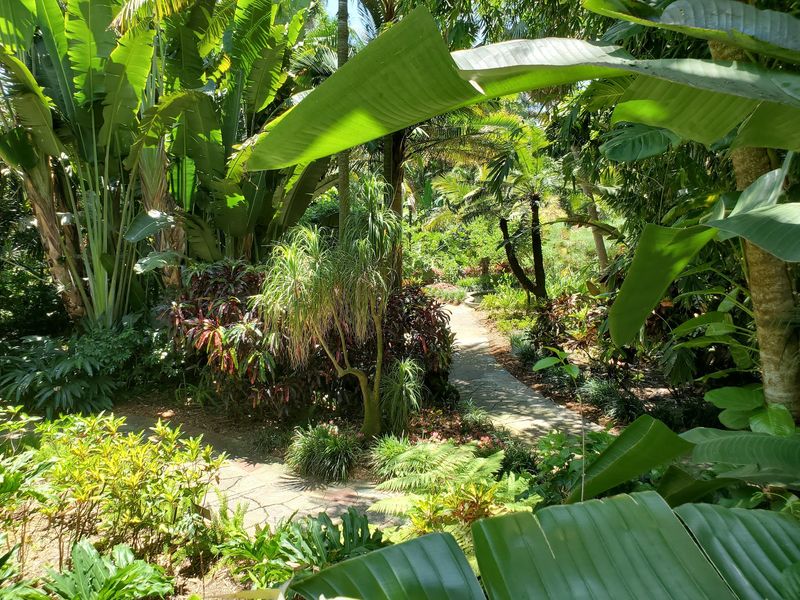 A Plumber's Backyard Became A Garden You Can Still Explore
