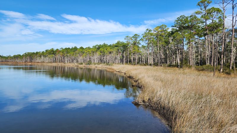 Wet Prairie and Bog Habitats Make the Park Feel Unlike Most of Florida
