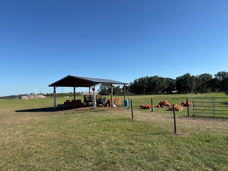 A Dade City Farm Where Fall Starts With Something Sweet