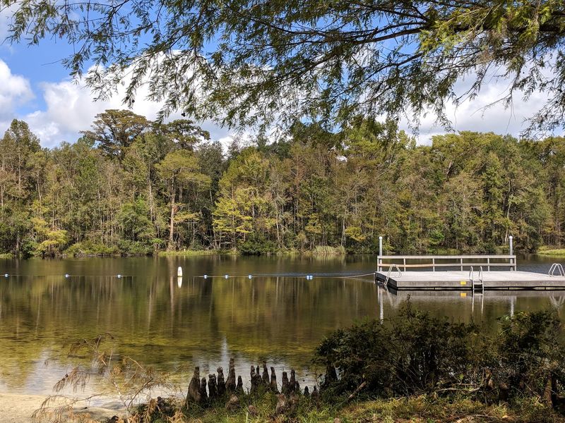 Wakulla Springs Adds a Wild Florida Backdrop Just Outside the Door