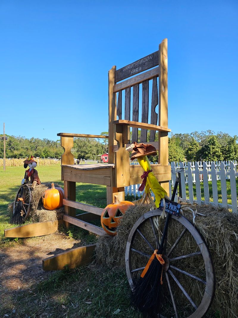 HarvestMoon Fun Farm