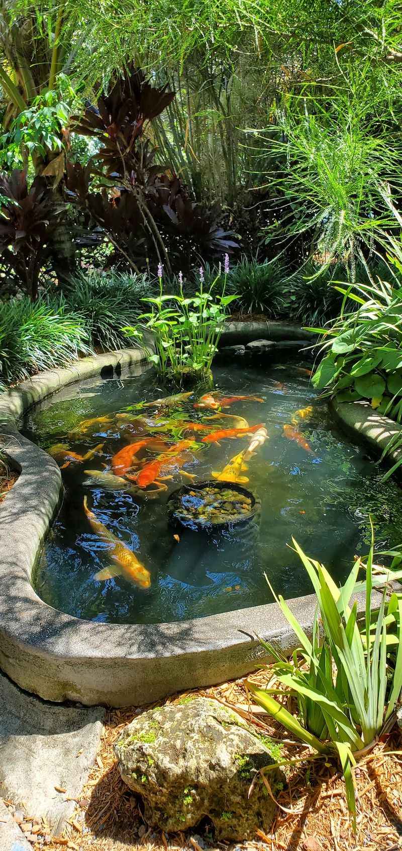 Find A Quiet Seat Near The Waterfalls And Koi