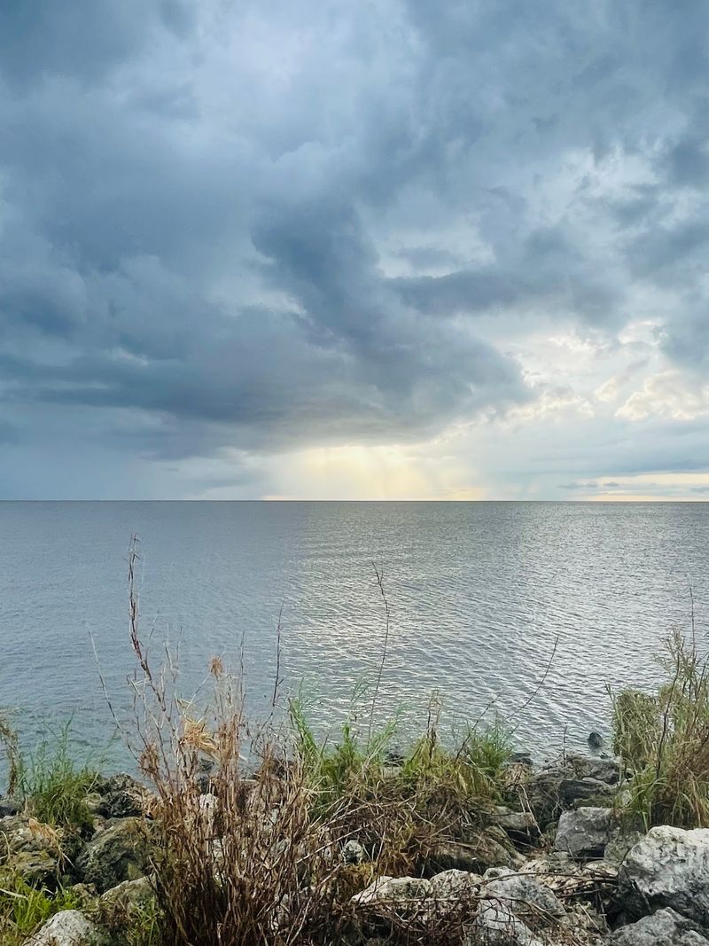 A Florida Lake With a History Far Darker Than Its Calm Waters Suggest