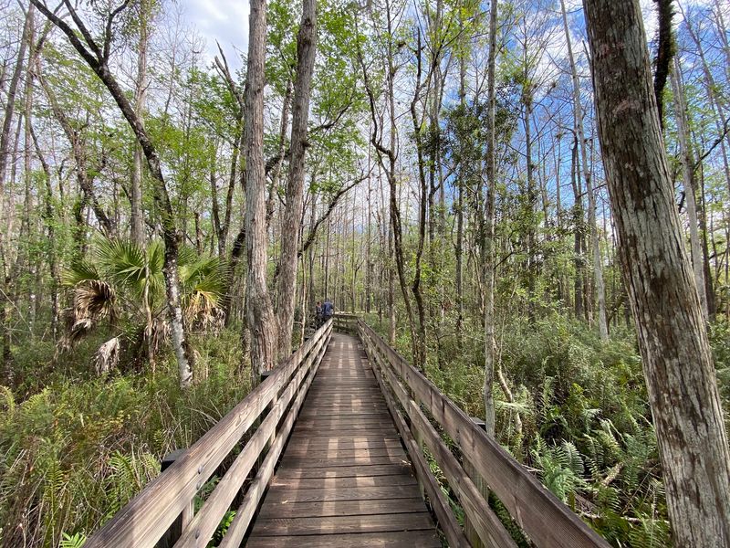 Six Mile Cypress Slough Preserve, Fort Myers, FL