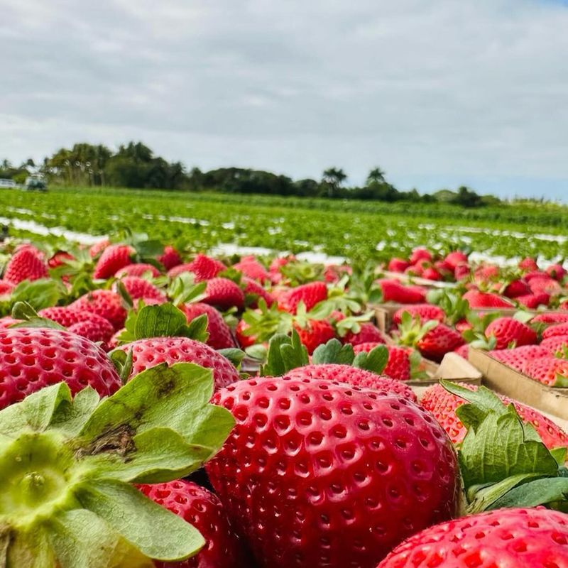Seasonal Treats and Farm Stops Add More Flavor to the Day