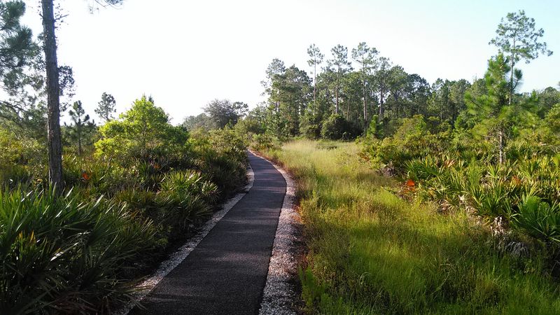 Wild Turkey Strand Preserve, Fort Myers, FL