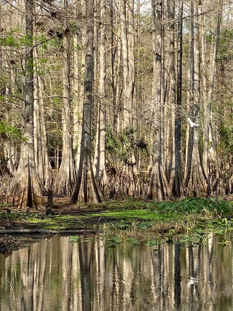 Polk County