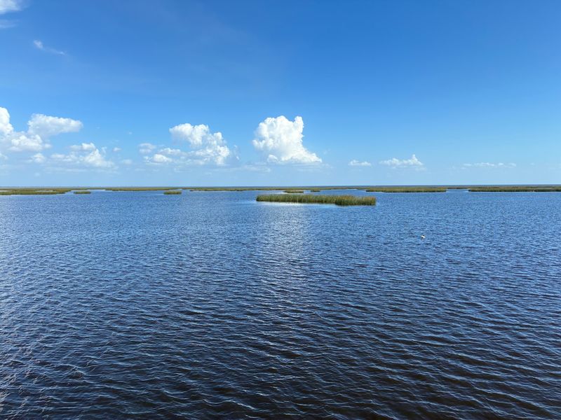 Why the Story of the 1928 Hurricane Still Shapes South Florida Today