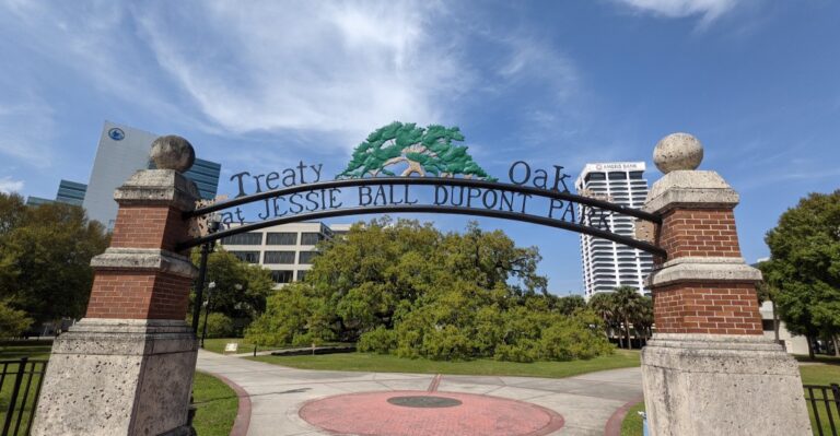 A 250-Year-Old Oak in Jacksonville, Florida Spreads Wider Than Most Visitors Expect