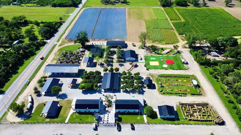 The Berry Farms