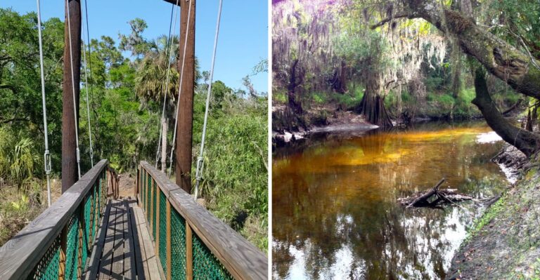 Ancient Fossils Are Waiting to Be Found at This One-of-a-Kind Florida State Park