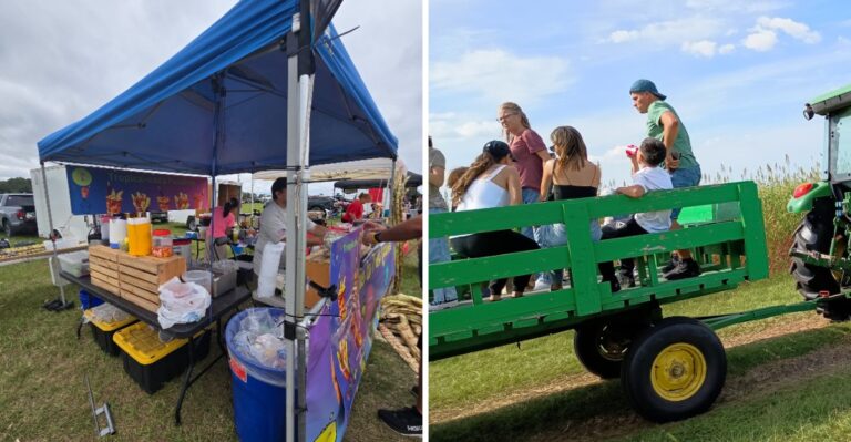 Apple Cider Donuts Steal the Show at This Popular Florida Farm