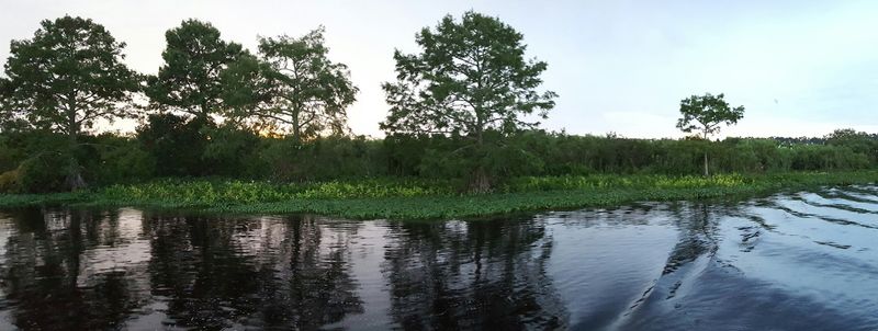 Bass Love Hiding Out In All That Flooded Timber