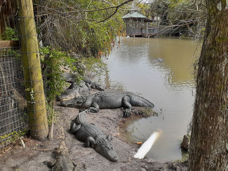 Wildlife Encounters Are Part of the Experience