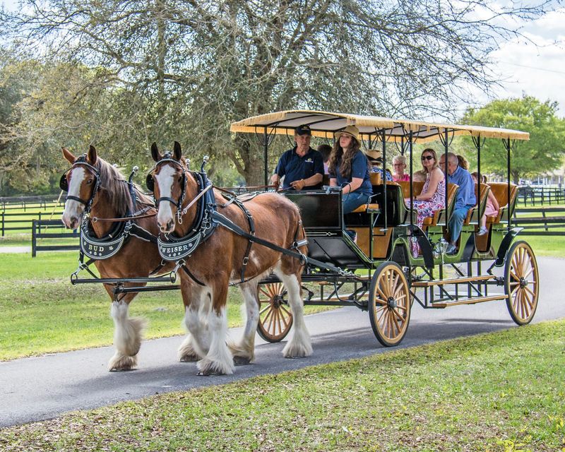 Horse Lovers Can Spend Hours Exploring Without Seeing It All