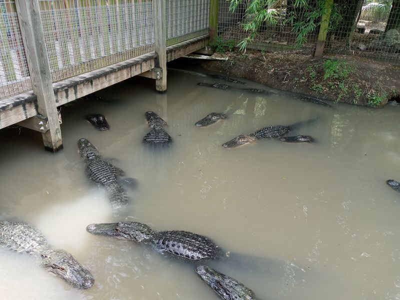 The Boardwalks Make Some of the Wettest Areas Easier to Cross