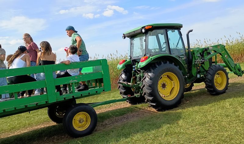 Dade City Farms Turns a Simple Donut Run Into a Road-Trip-Worthy Tradition