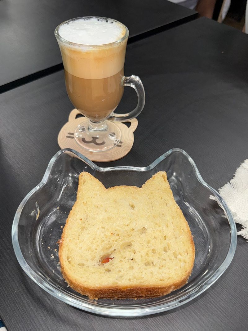 Coffee and Cat Time Turn a Simple Stop Into a Longer Visit