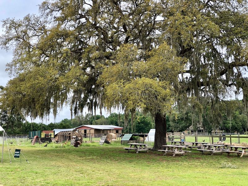 Sweetfields Farm