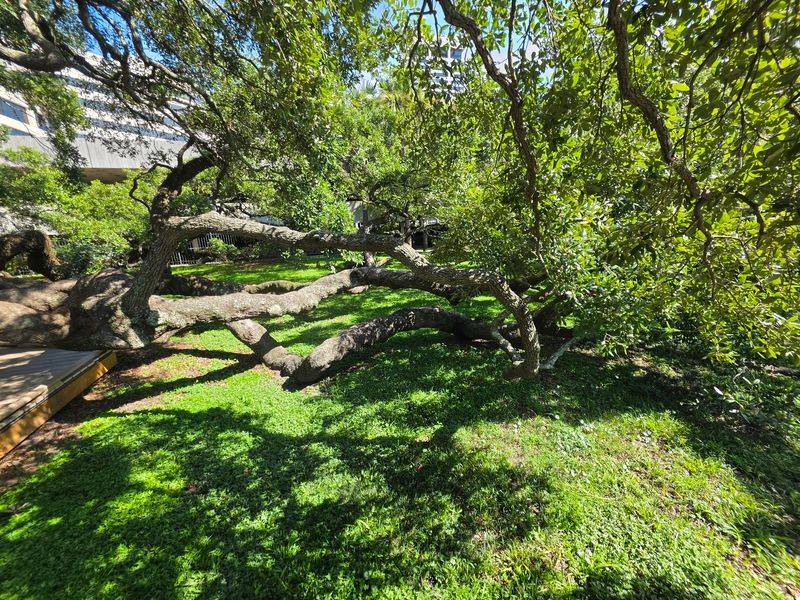 A Short Visit Here Offers a Rare Look at Old Florida Still Standing Tall