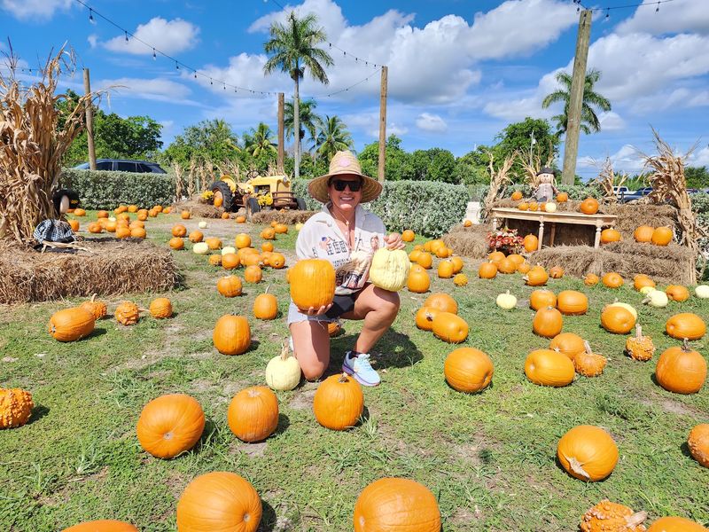 The Berry Farms Turns Fall Into a Full-Day South Florida Escape