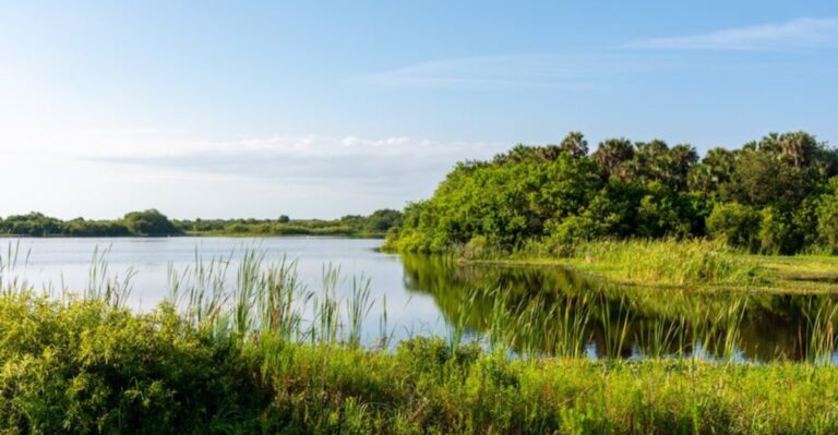 Most People Drive Past This Free Vero Beach Hidden Gem Without Knowing It’s There