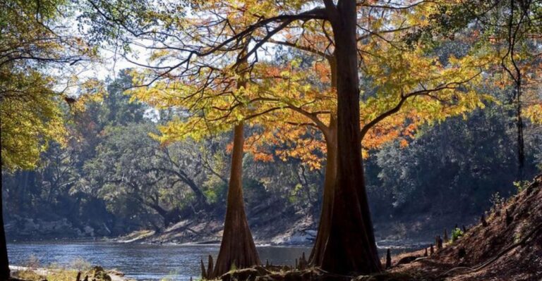 Nobody Talks About How Beautiful These 10 Florida Parks Get in the Fall