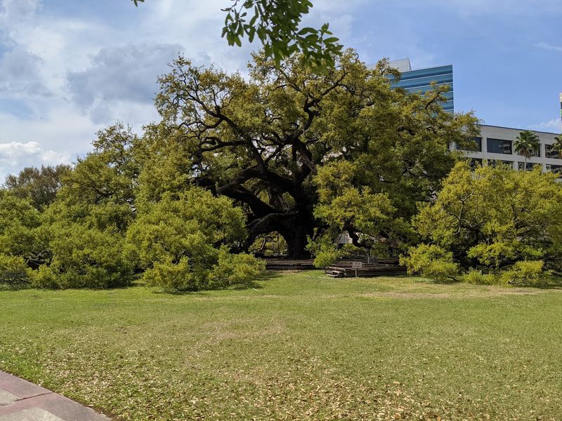 Jessie Ball DuPont Park Feels Like a Quiet Break From Downtown Jacksonville