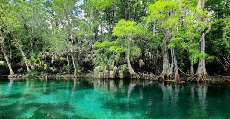 People Live in Tampa and Orlando Their Whole Lives and Never Visit These 8 Places Less Than 3 Hours Away