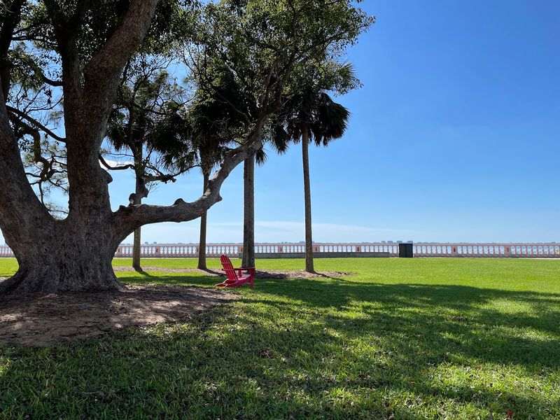 Palm Trees and Open Water Create a Classic Florida Setting