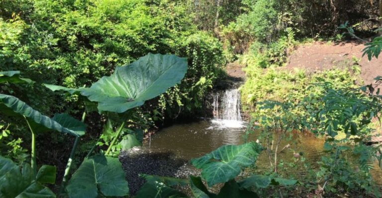 There’s a Real Waterfall Hiding in Jacksonville, and Almost Nobody Knows