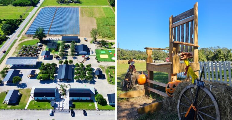 These 12 Florida Day Trips Deliver Fall Colors, Festivals, And Fun Without The Cold