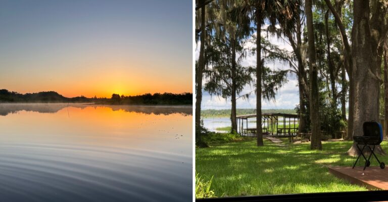 This Florida Lake Covers A Flooded River Valley Where Old Stumps Still Rise From The Water