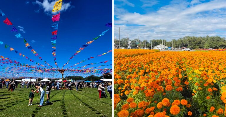 This Hidden Florida Flower Festival Is One of the Prettiest Fall Experiences Around