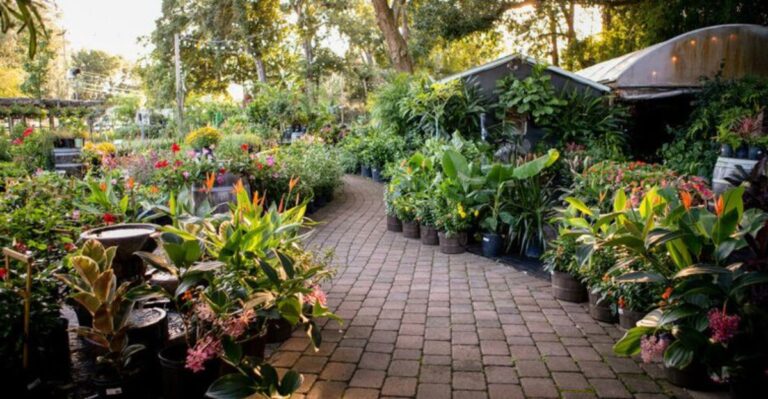 This Massive Orlando Plant Nursery Lets You Sip, Stroll, and Shop at Your Own Pace