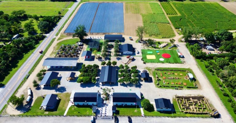 This Scenic Florida Pumpkin Patch Road Trip Takes You From Miami Straight Into Homestead Farm Country