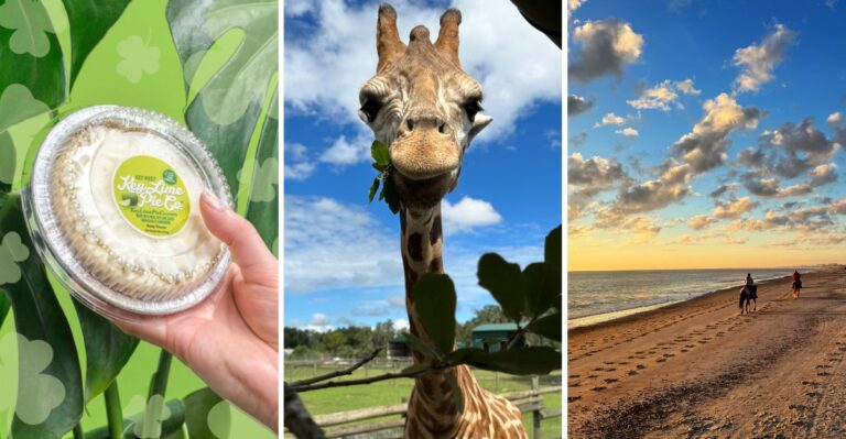 Tired of the Same Old Weekend Plans? Try These 11 Hands-On Florida Experiences