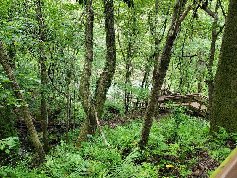 Devil's Millhopper Geological State Park