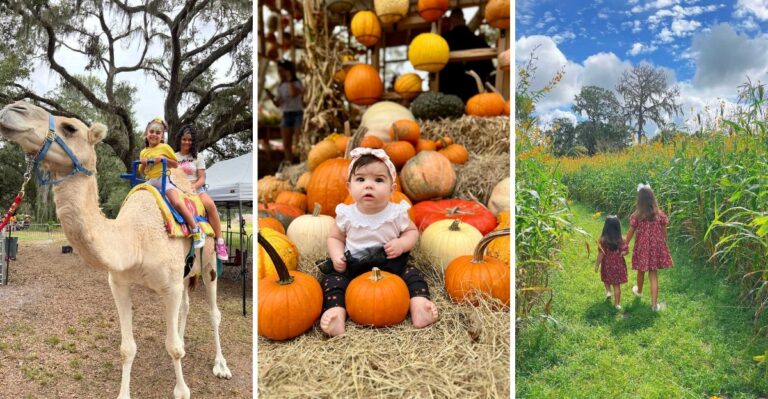 We Found a Florida Fall Festival Where $15 Gets You a Whole Day of Family Fun